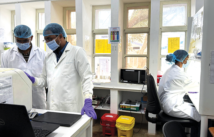 Life sciences researchers working in a laboratory